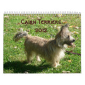 Kalender der Steinhaufen-Terrier-2012 (Titelbild)