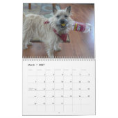 Kalender der Steinhaufen-Terrier-2012 (Mär 2027)