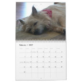 Kalender der Steinhaufen-Terrier-2012 (Feb 2027)