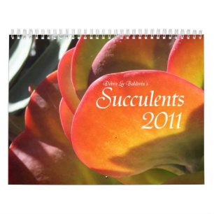 Kalender der Succulents 2011