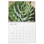 Kalender der Succulents 2011 (Mär 2027)