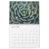 Kalender der Succulents 2011 (Jan 2027)
