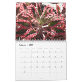 Kalender der Succulents 2011 (Feb 2027)