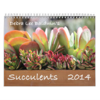 Kalender der Succulents-2014 durch Debra-Lee