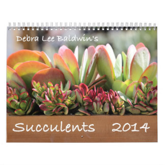 Kalender der Succulents-2014 durch Debra-Lee