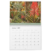 Kalender der Succulents-2014 durch Debra-Lee (Jan 2027)