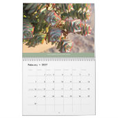 Kalender der Succulents-2014 durch Debra-Lee (Feb 2027)