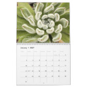 Kalender der Succulents-2016 durch Debra-Lee (Jan 2027)