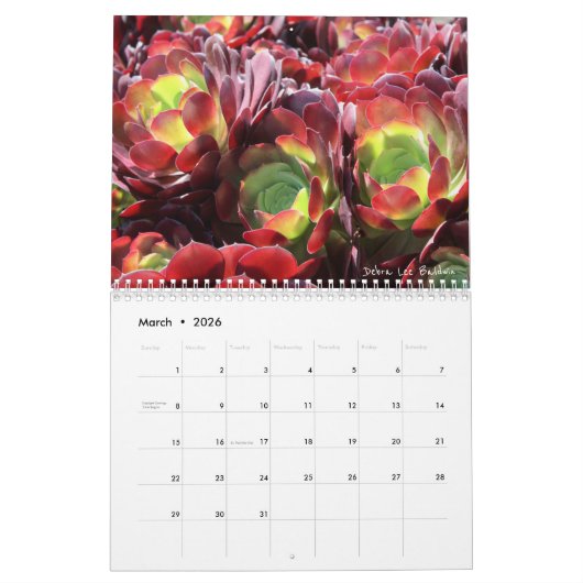Kalender der Succulents-2018 durch Debra-Lee (Mär 2026)