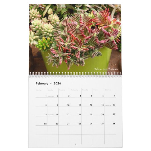 Kalender der Succulents-2018 durch Debra-Lee (Feb 2026)
