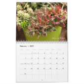 Kalender der Succulents-2018 durch Debra-Lee (Feb 2027)
