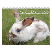 Kalender der süßen Tiere 2012 (Titelbild)