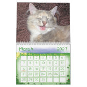Kalender der süßen Tiere 2012 (Mär 2027)
