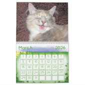 Kalender der süßen Tiere 2012 (Mär 2026)