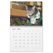 Kalender der Tabby-Katzen-2012 (Mär 2026)