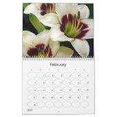 Kalender der Taglilie-2011 (Feb 2027)