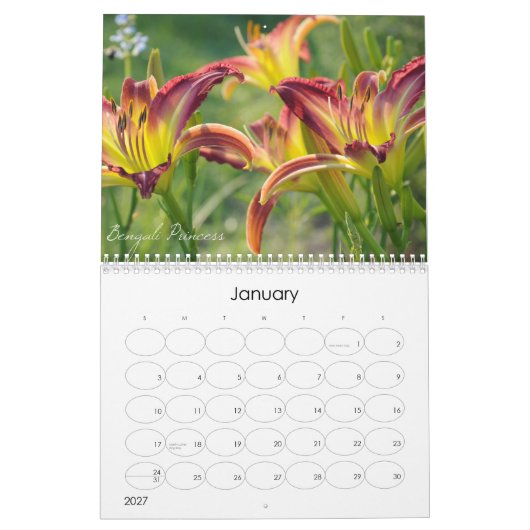 Kalender der Taglilie-2011 (Jan 2027)