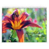 Kalender der Taglilie-2012 (Titelbild)