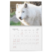 KALENDER DER TIER-2013 (Feb 2027)