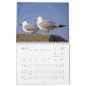 KALENDER DER TIER-2013 (Jan 2027)