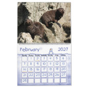KALENDER DER TIER-2013 (Feb 2027)