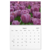 Kalender der Tulpe-2009 (Mär 2027)
