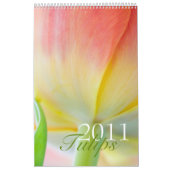 Kalender der Tulpe-2011 (Titelbild)