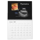 Kalender der Ultraschallbilder (Jan 2027)