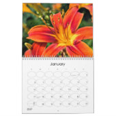 Kalender der unterwegs-Sommer-Blume (Jan 2027)