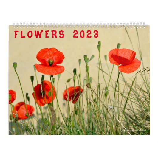 Kalender der verschiedenen Blume 2023 (Titelbild)