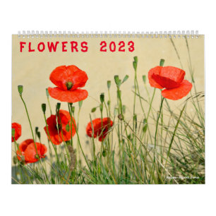 Kalender der verschiedenen Blume 2023