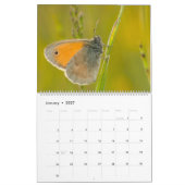 Kalender der verzauberten Schmetterlinge (Jan 2027)