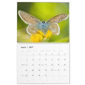 Kalender der verzauberten Schmetterlinge (Mär 2027)