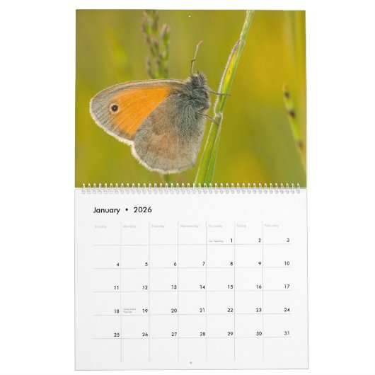 Kalender der verzauberten Schmetterlinge (Jan 2026)
