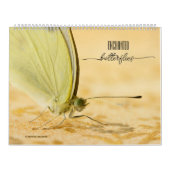 Kalender der verzauberten Schmetterlinge (Titelbild)