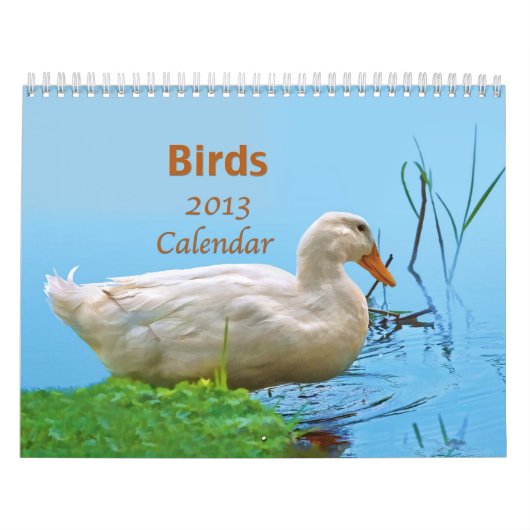Kalender der Vogel-2013 (Titelbild)