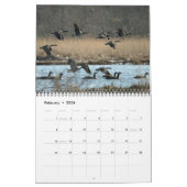 Kalender der Wasservogel-2010 (Feb 2026)