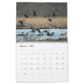 Kalender der Wasservogel-2011 (Feb 2027)