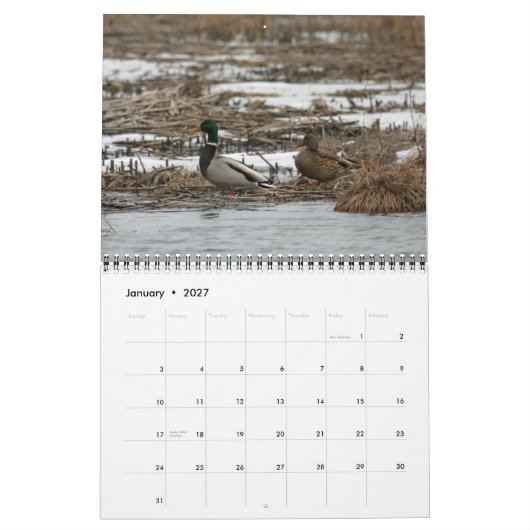 Kalender der Wasservogel-2011 (Jan 2027)