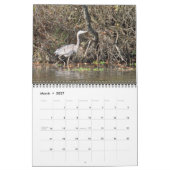 Kalender der Wasservogel-2011 (Mär 2027)