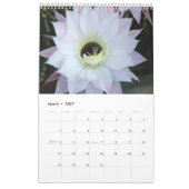 Kalender der weißen Blume 2025 (Mär 2027)
