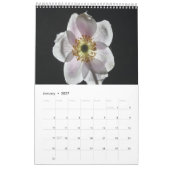 Kalender der weißen Blume 2025 (Jan 2027)