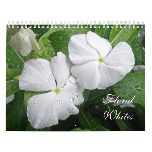 Kalender der Weißen Flora (Titelbild)