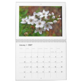 Kalender der Weißen Flora (Jan 2027)