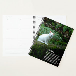 Kalender der weißen Katze Planer