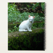 Kalender der weißen Katze Planer (Rückseite)