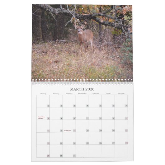 Kalender der wild lebenden Hirsche (Mär 2026)