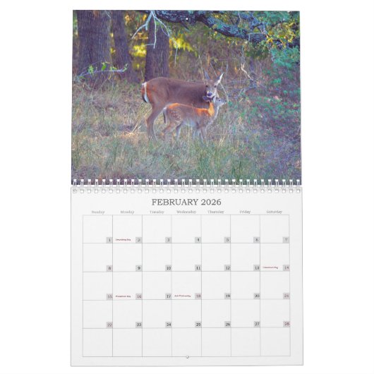 Kalender der wild lebenden Hirsche (Feb 2026)