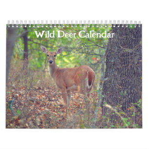 Kalender der wild lebenden Hirsche