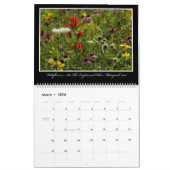 Kalender der Wildblumen-2017 durch Thomas Minutolo (Mär 2026)